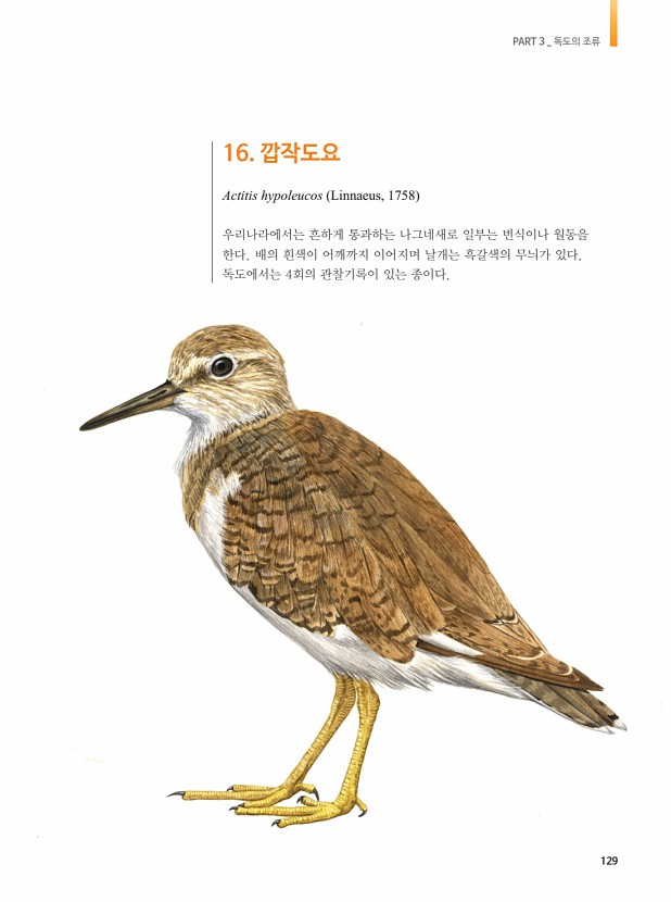 119페이지