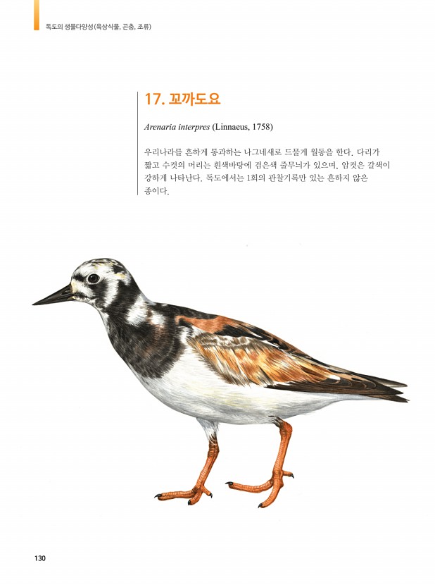 120페이지