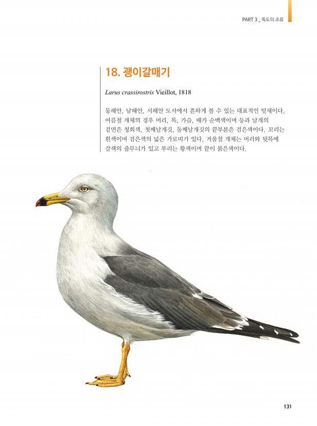 121페이지