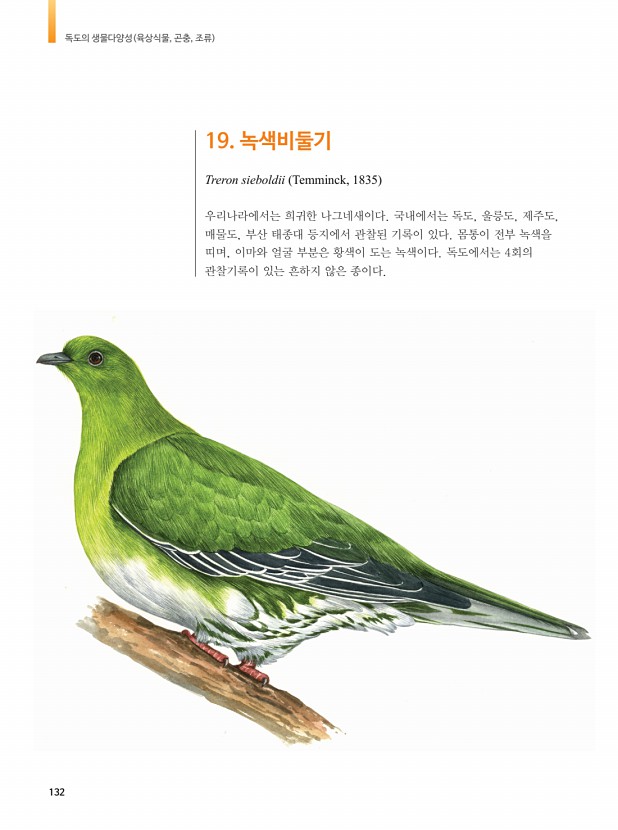 122페이지