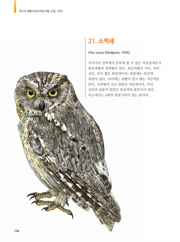 124페이지