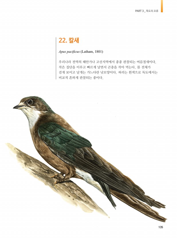 125페이지