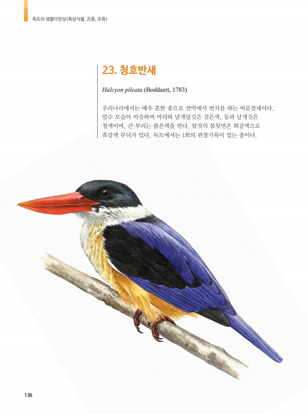 133페이지