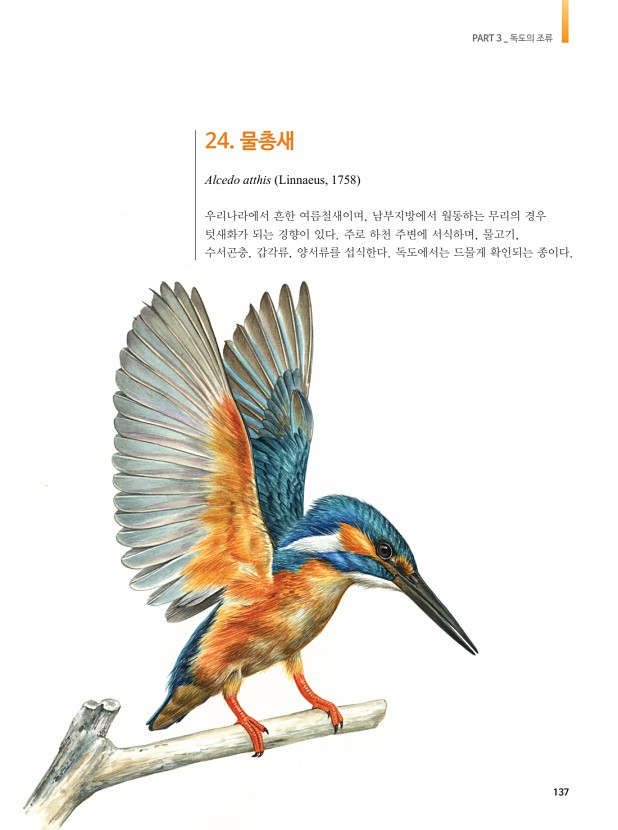134페이지