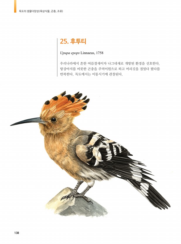 135페이지