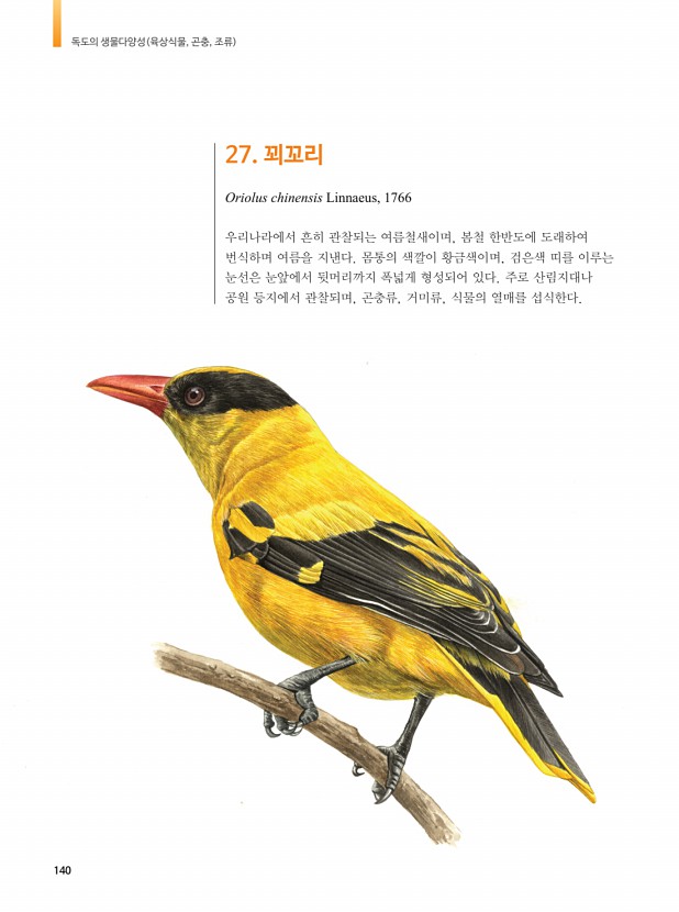 137페이지