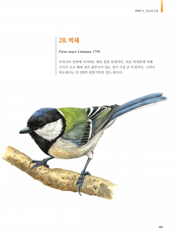 131페이지