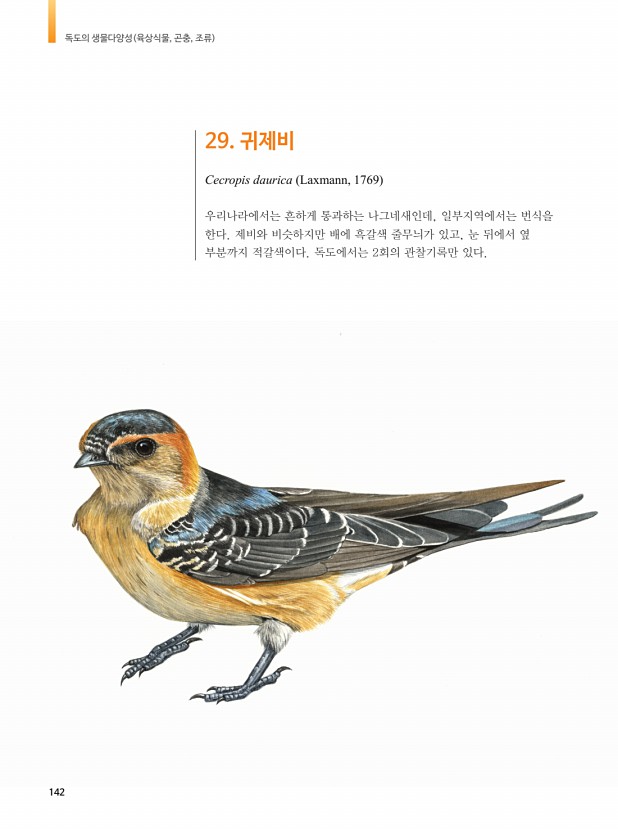139페이지