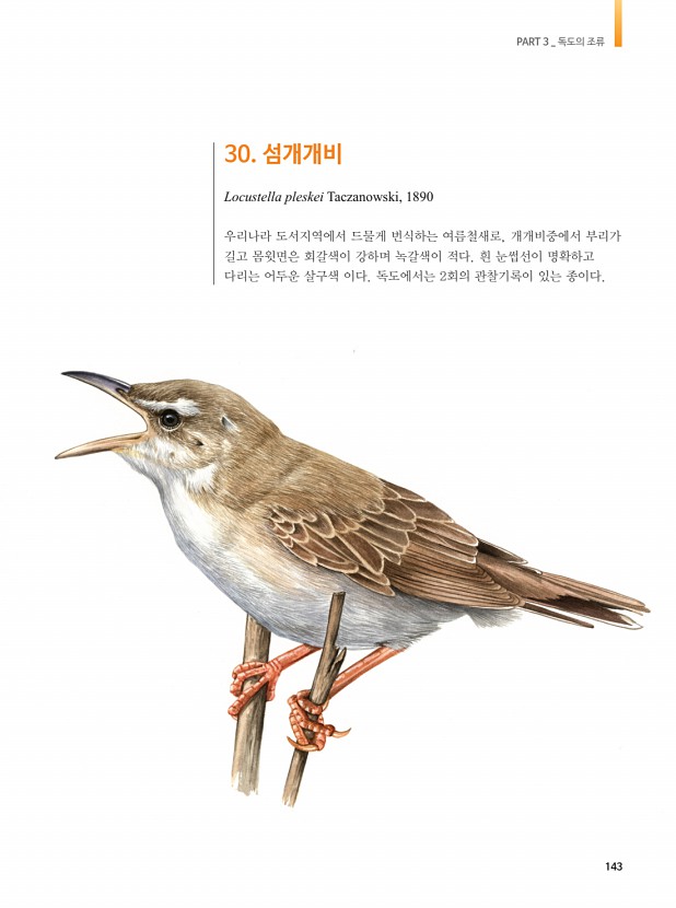 140페이지