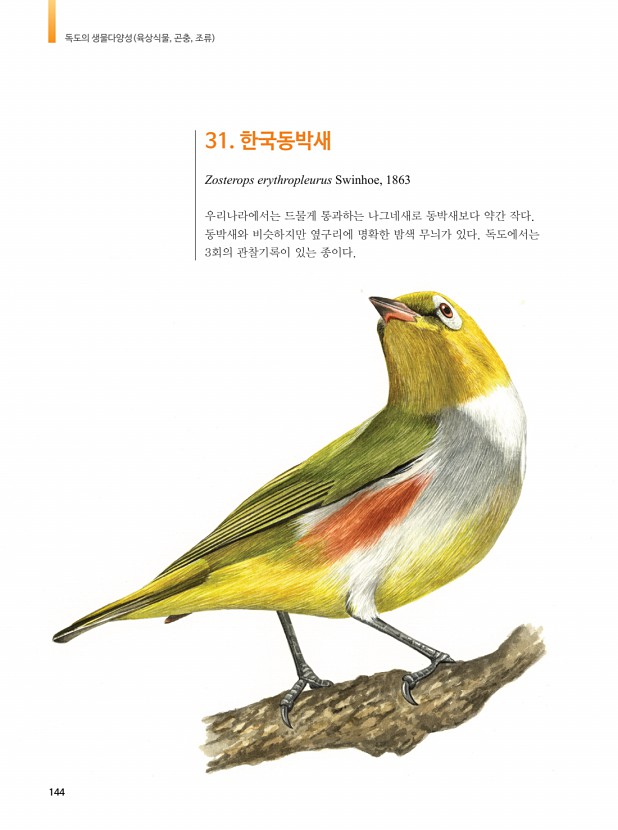 141페이지