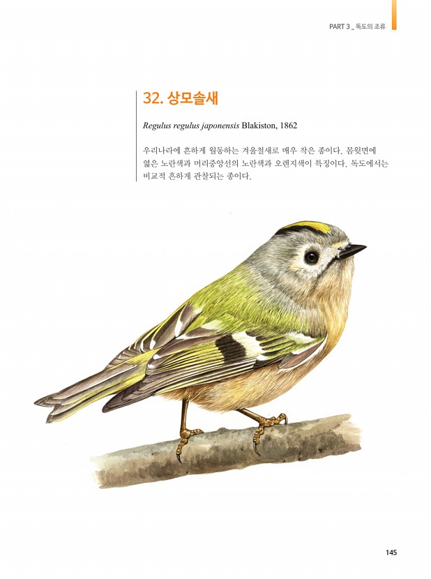 142페이지