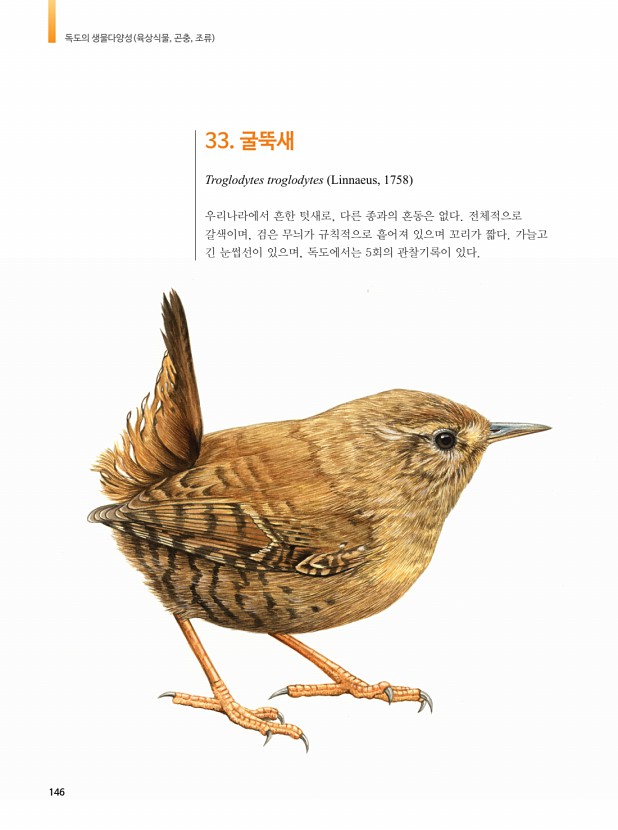 143페이지