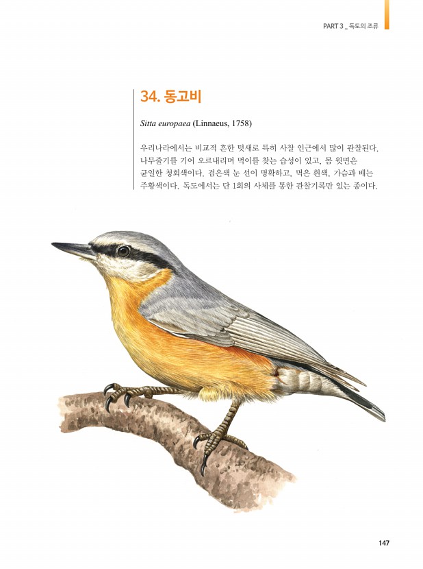 144페이지