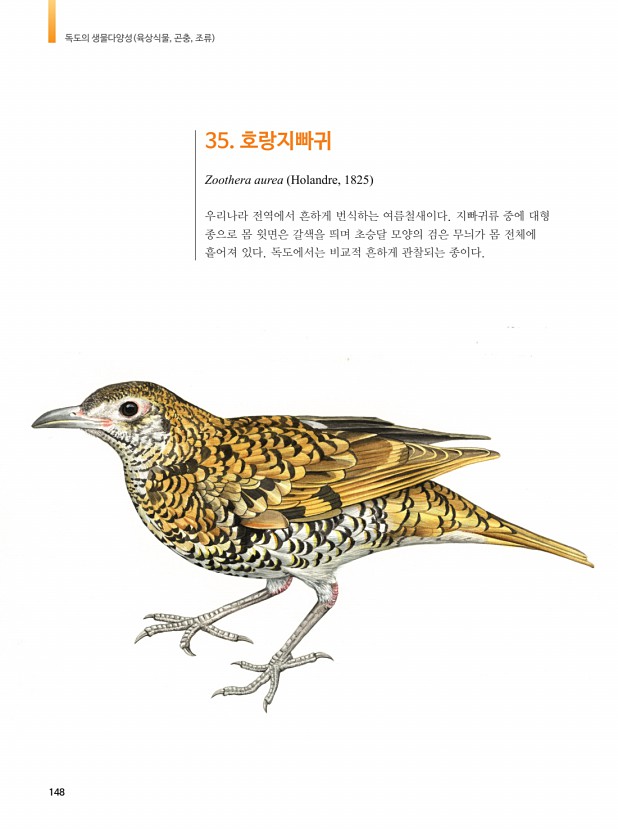 145페이지