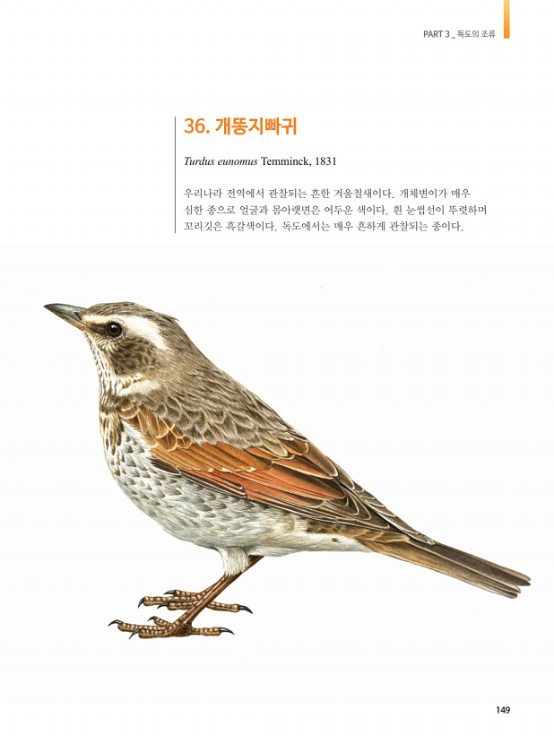146페이지