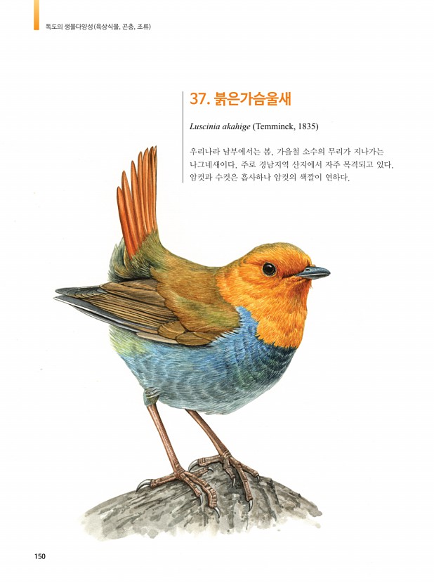 147페이지
