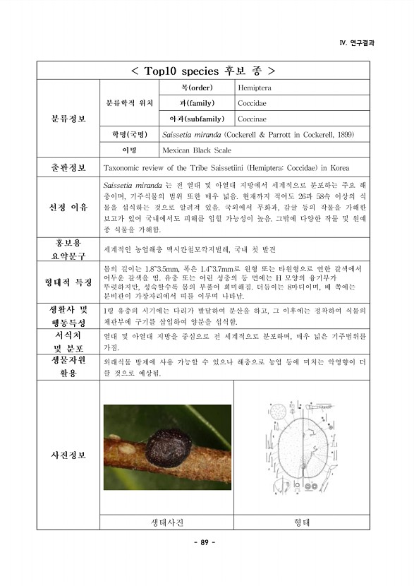 89페이지
