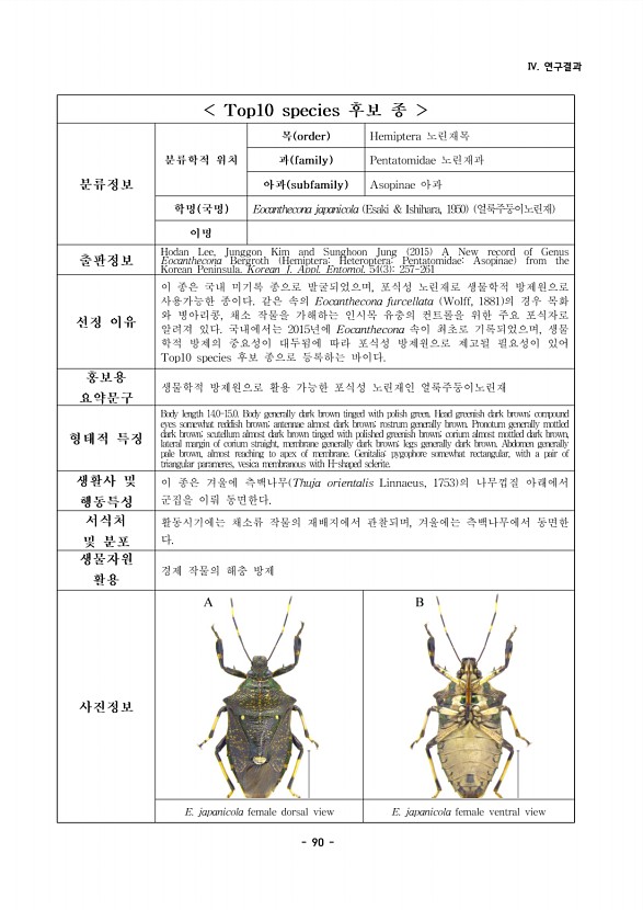 90페이지