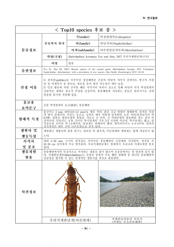 91페이지