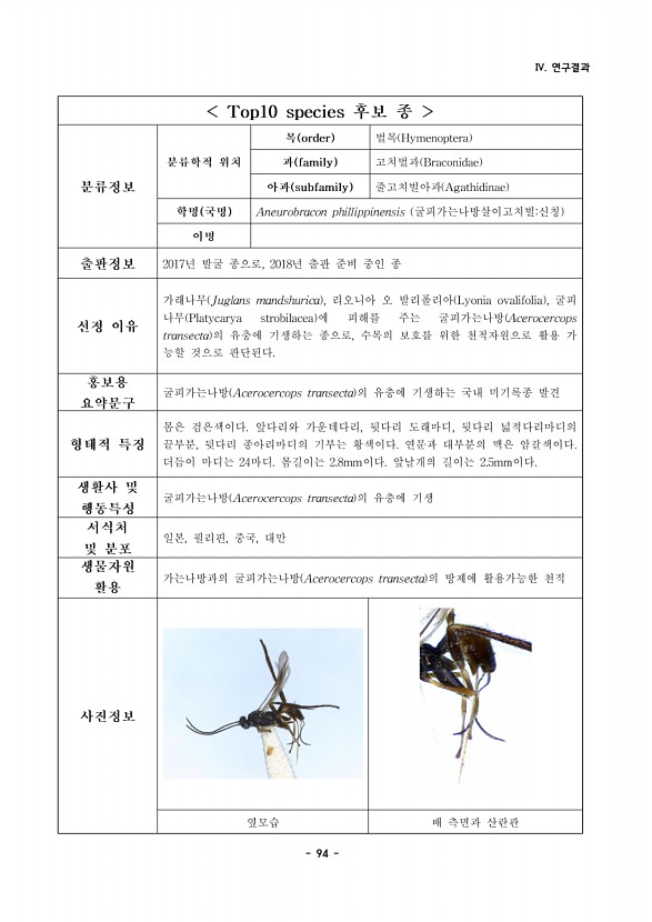 94페이지