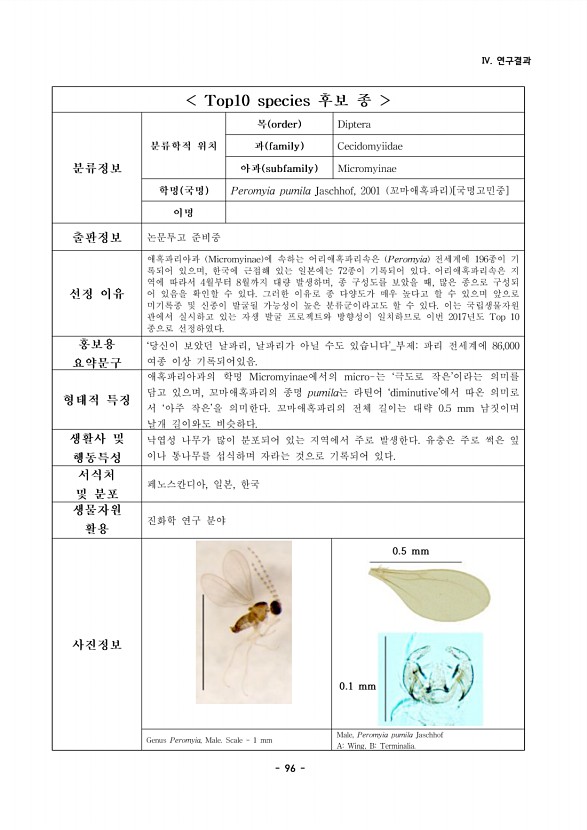 96페이지