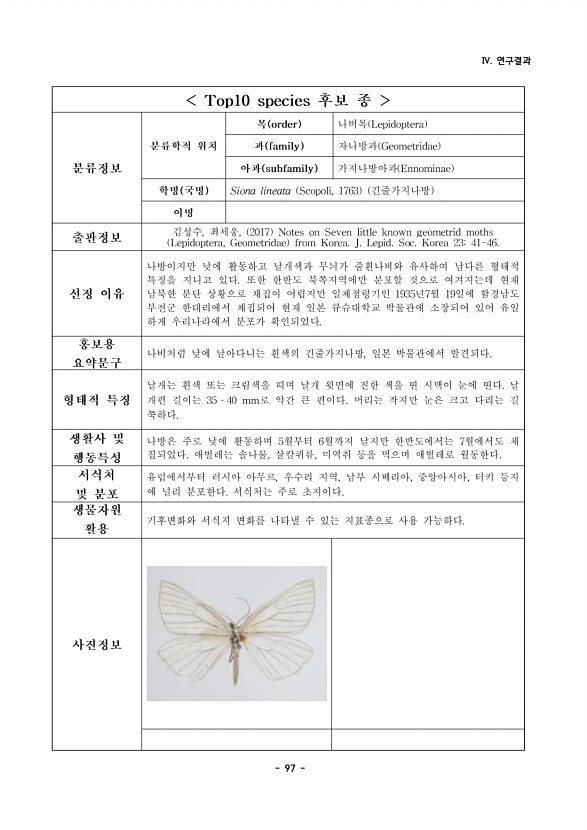 97페이지