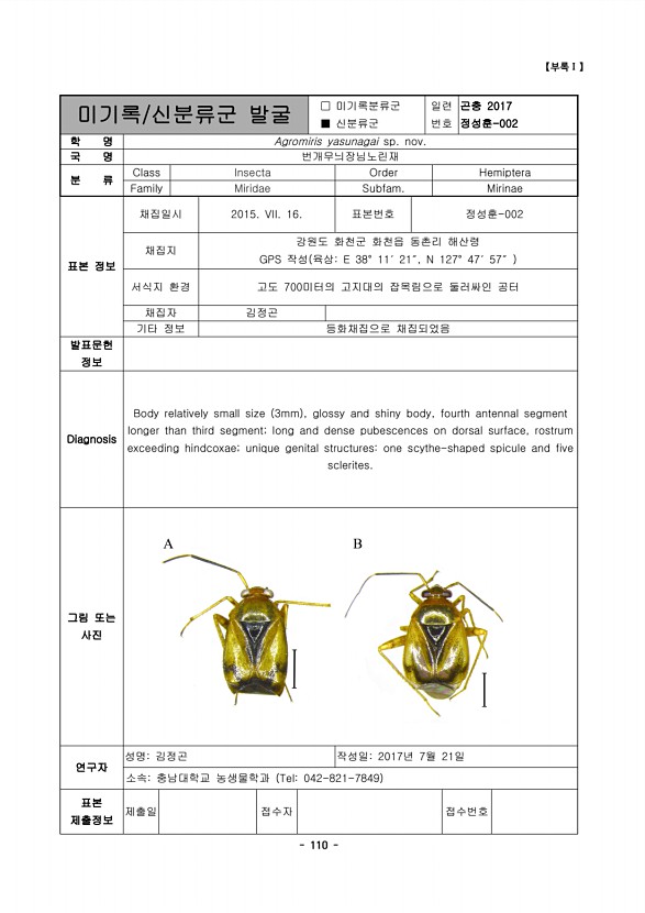 111페이지