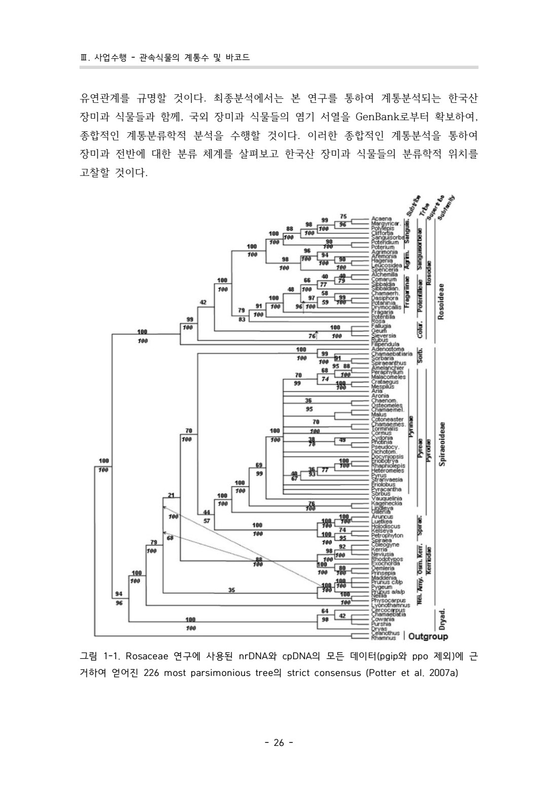 페이지