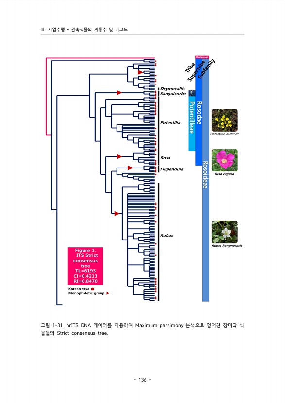 132페이지