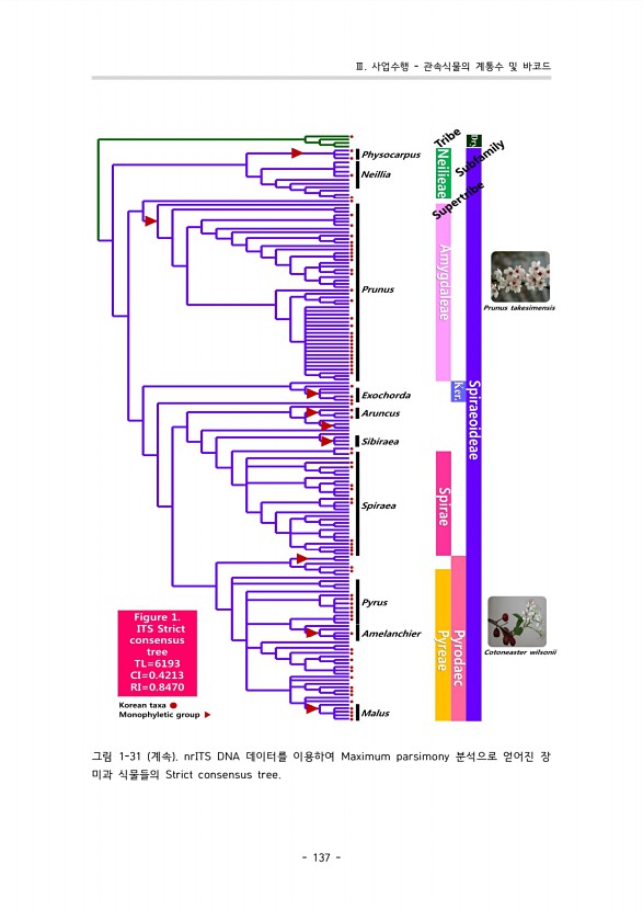 133페이지