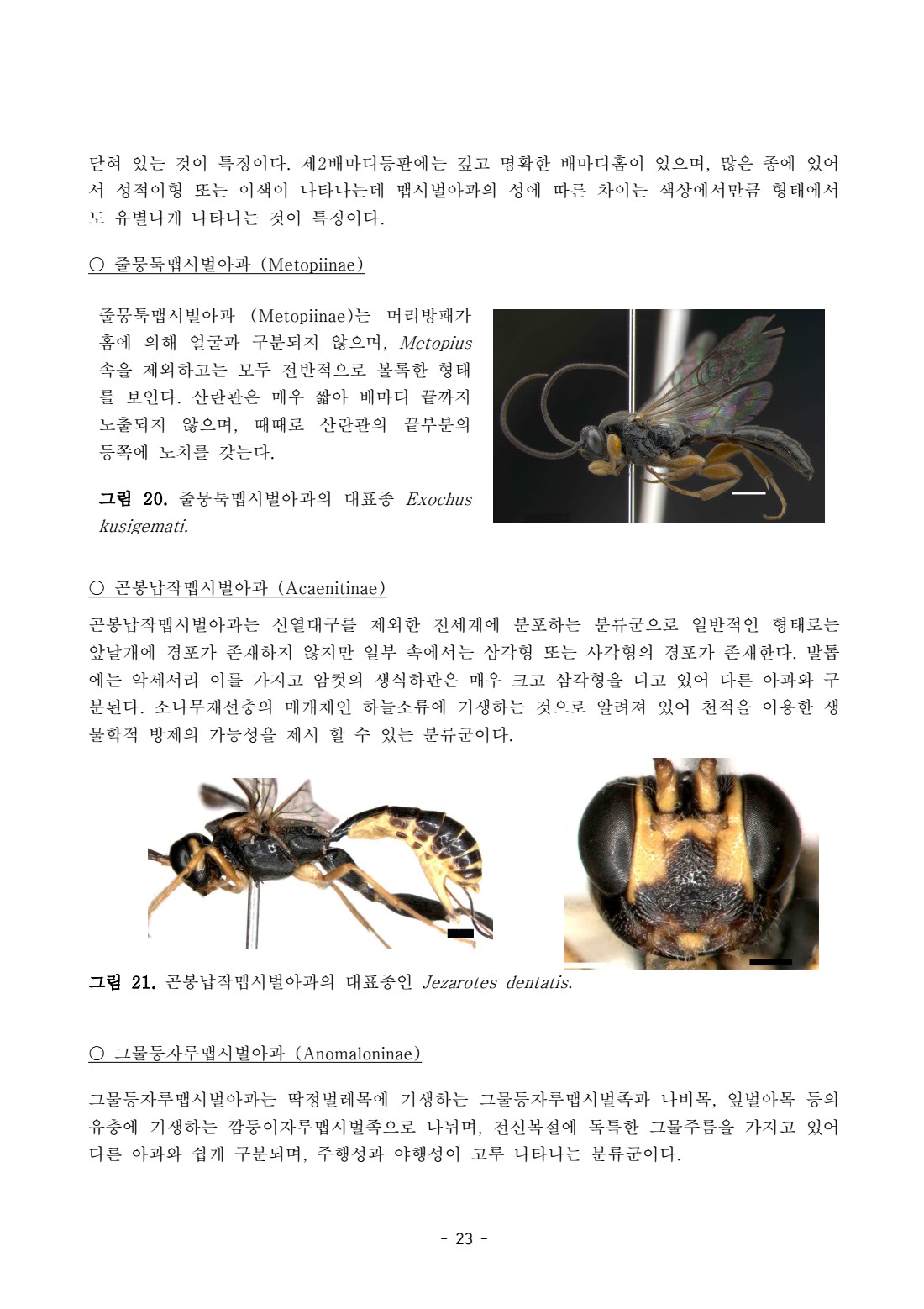 페이지