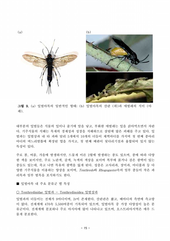 15페이지