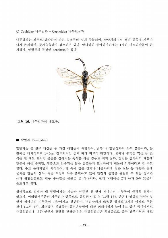 19페이지