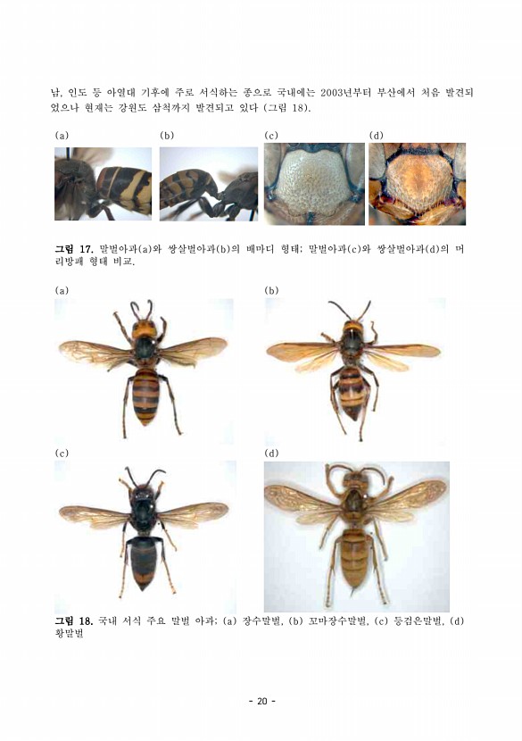 20페이지