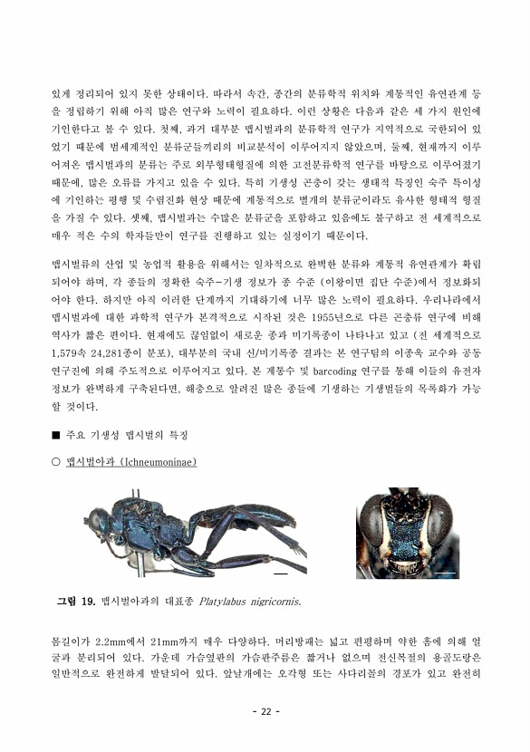 22페이지