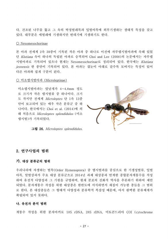 27페이지