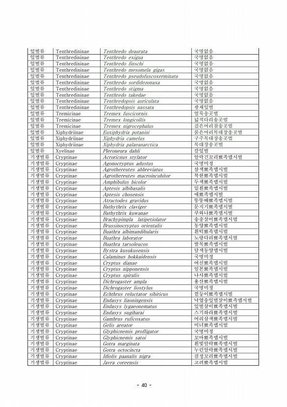 40페이지