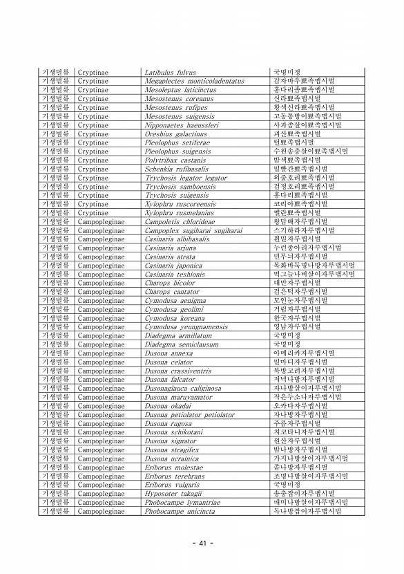 41페이지