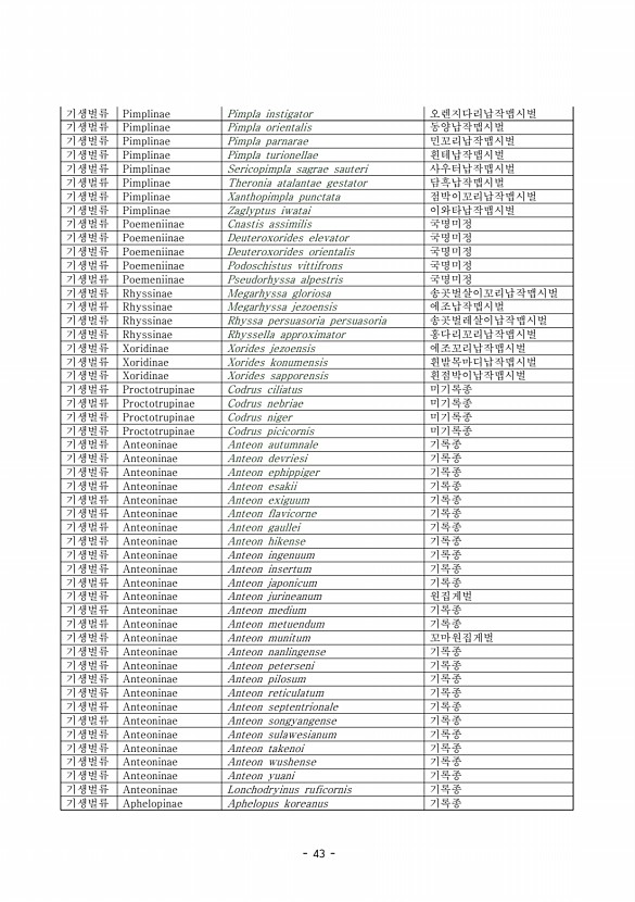 43페이지