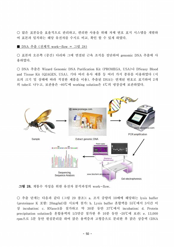 50페이지