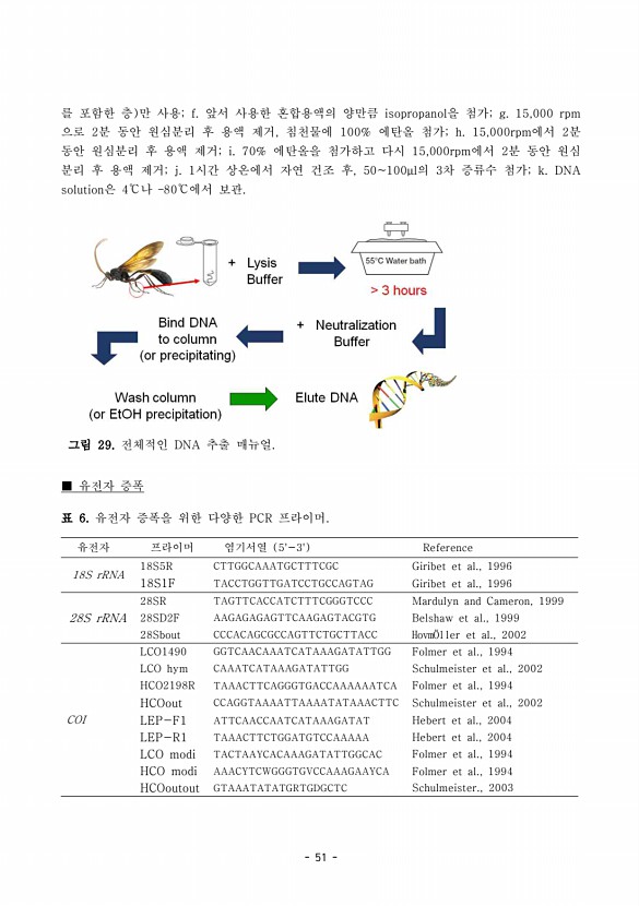 51페이지