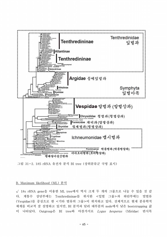 65페이지