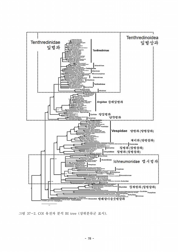 78페이지