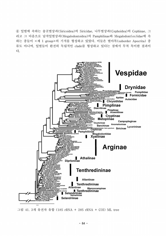 84페이지