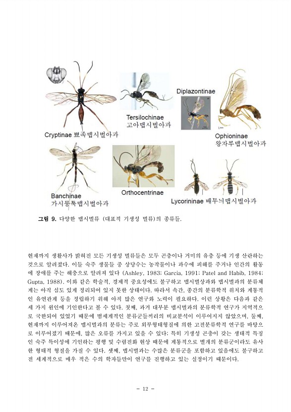 12페이지