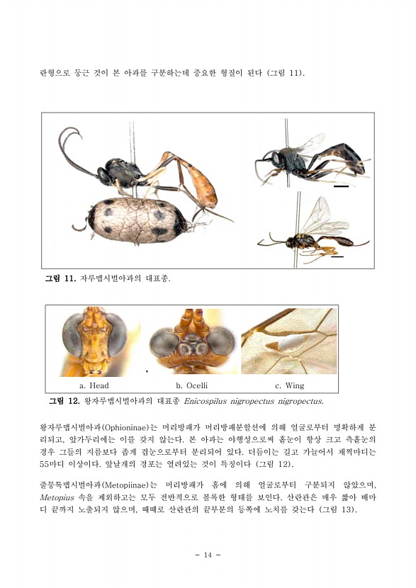 17페이지