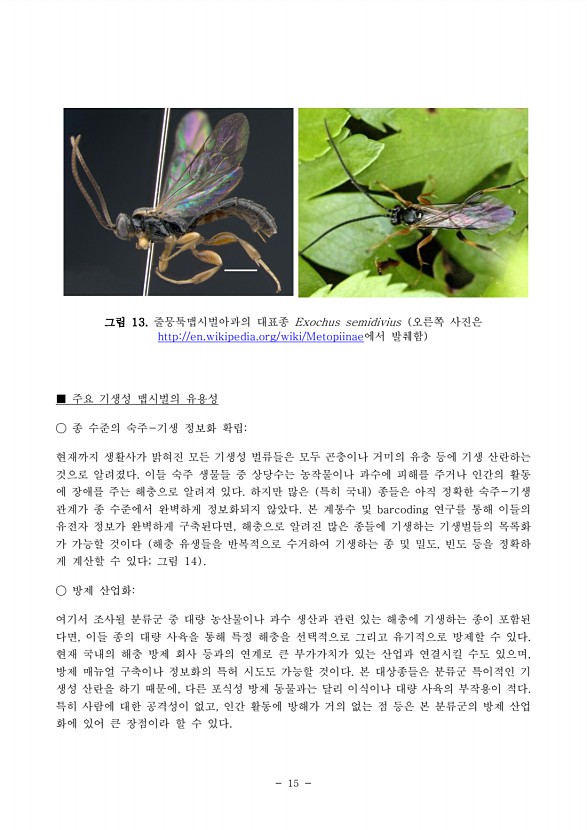 18페이지