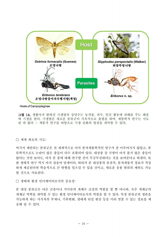 19페이지