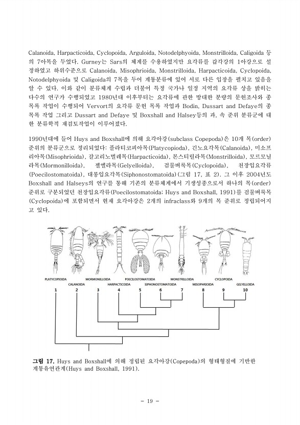 19페이지