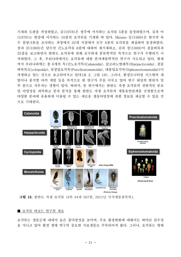 24페이지